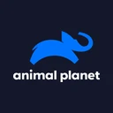 Animal Planet D logo
