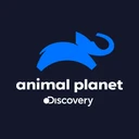 Animal Planet logo