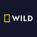 National Geographic Wild D logo