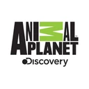 Animal Planet logo