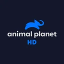 Animal Planet logo